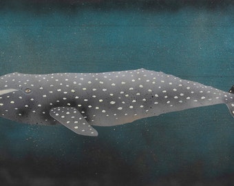 Gray Whale in the Deep Green Sea Print