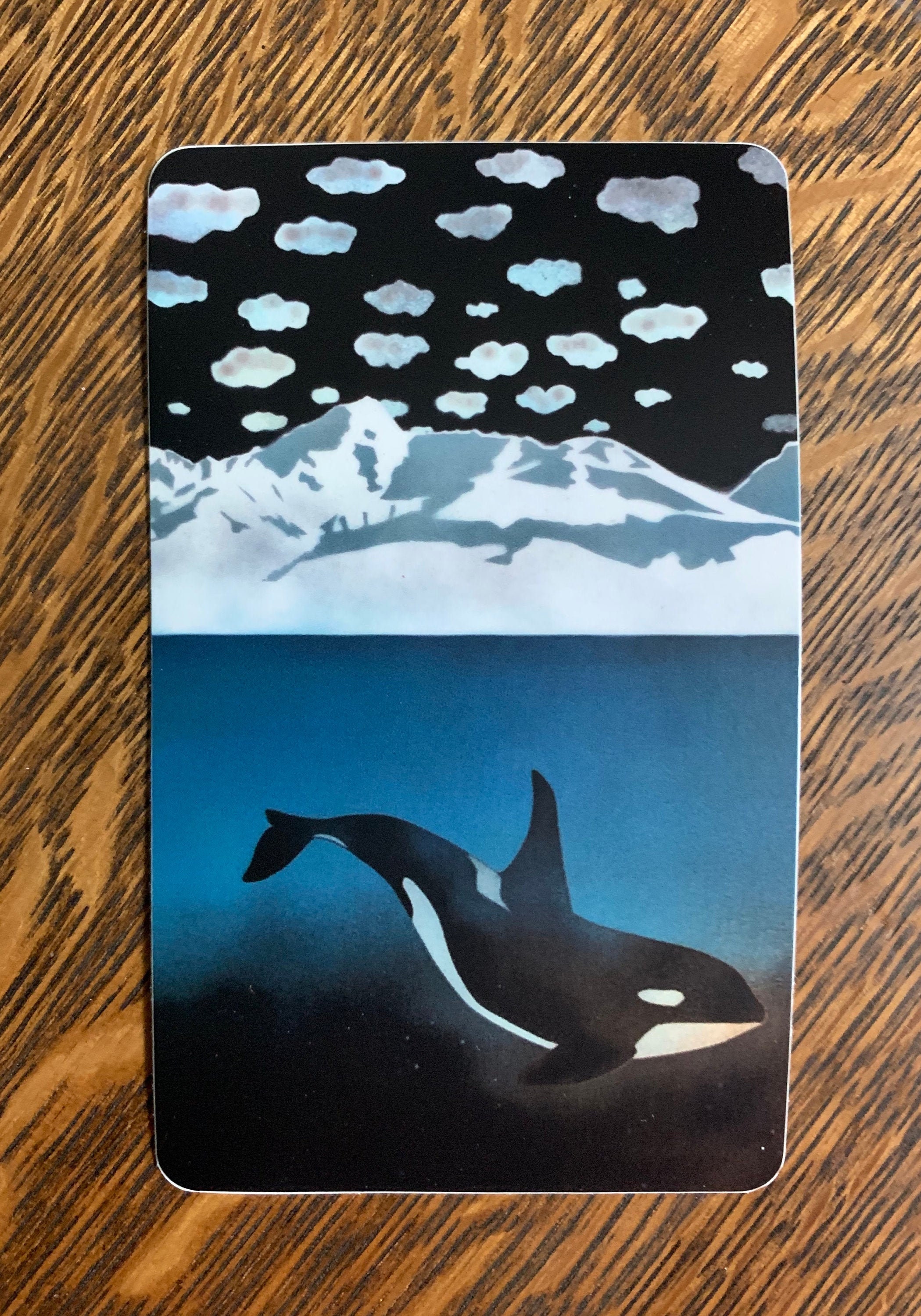 Sticker of an Orca / Killer whale