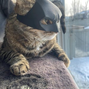 3D Printed Bat Cat Mask for Cats