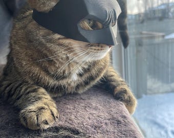 Masque De Chat, Masque De Chat Chauve-souris, Costume De Rôle De Chauve