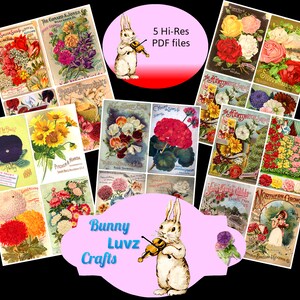 Vintage Flower Seed Packets, Instant Digital Download, Shabby Chic, Junk Jounals, Ephemera, Giardino, Fiore
