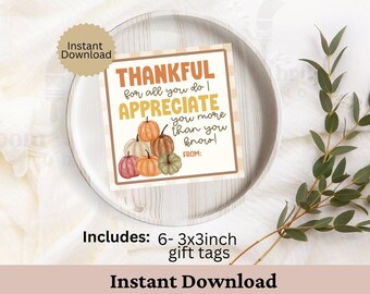 May include: A square gift tag with the words "THANKFUL" and "APPRECIATE" in orange and yellow, with a stack of pumpkins. The tag is on a white and beige plaid background. The tag is 3x3 inches.