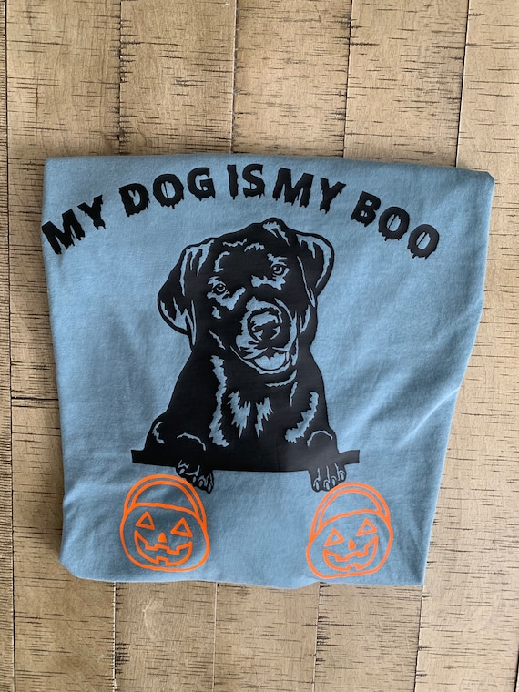 How Can I Tell What Color My Puppy Is