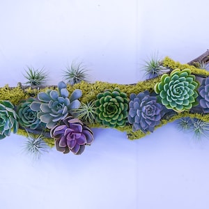 Enchanted Forest Succulent Tablescape