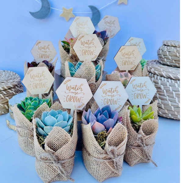 Watch Me Grow Baby Shower Favors - Live Succulent Favors for Baby Showers