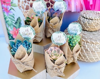 Oh Baby! -  Live Succulent Baby Shower Favors