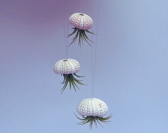 Jellyfish Hanging Airplant Display