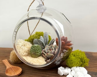 Hang in There- Succulent Terrarium Kit