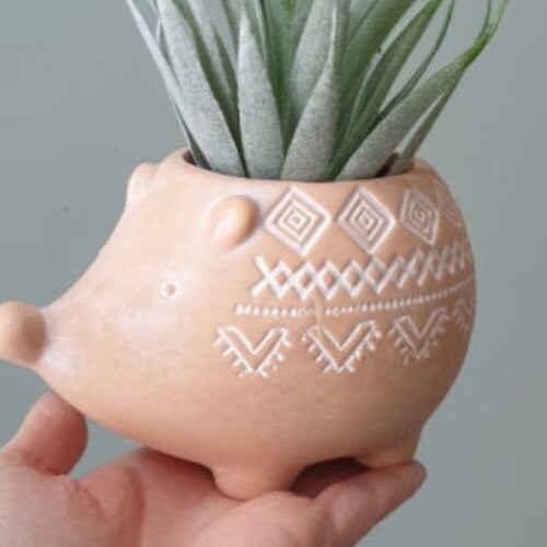 Terra Cotta Hedgehog Planter Pot for Succulents & Plants - Etsy Terra Cotta Hedgehog Planter Pot for Succulents & Plants - Etsy