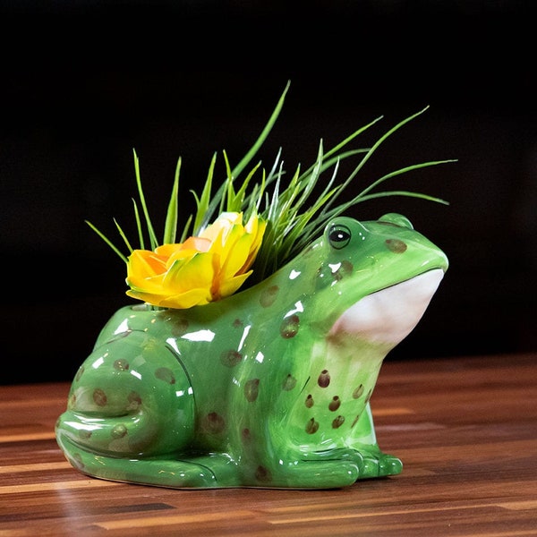 Frog Planter Etsy