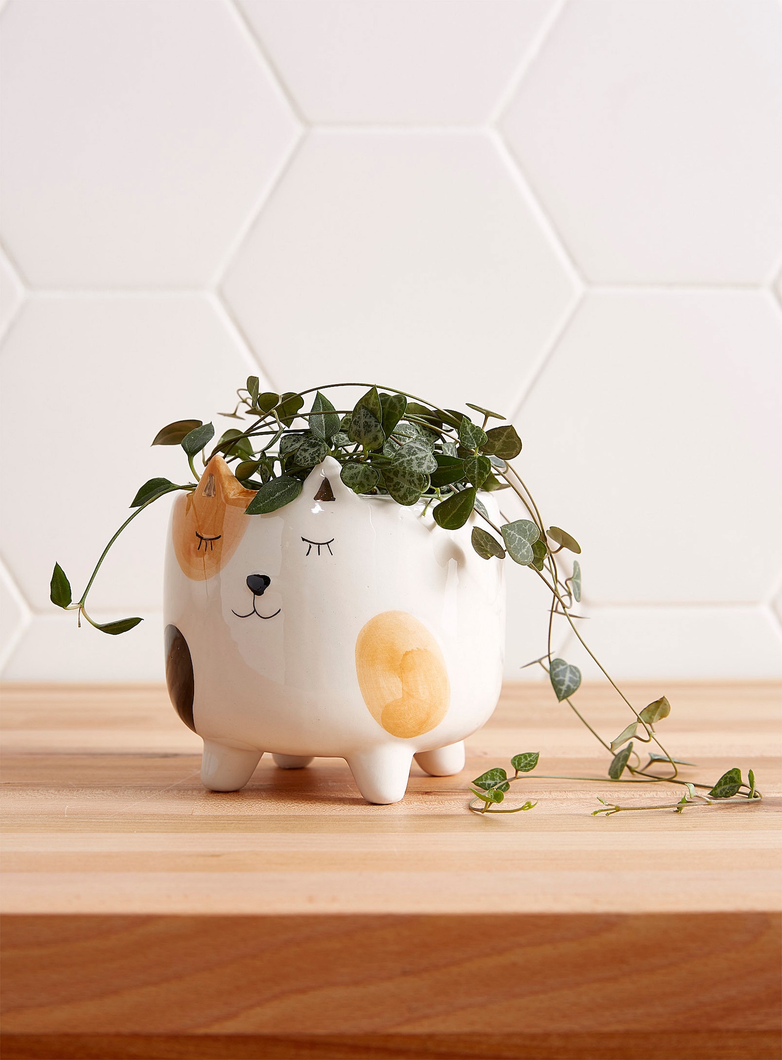 Calico Cat Planter for Succulents and Small Plants