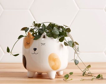 Cat Planter Pot | Planter for Succulents & Plants | Succulent Planter | Calico Cat Planter | Succulent Arrangement | Mother's Day Gift
