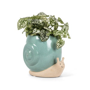 Garden Snail Planter for Succulents and Plants | Animal Planter | Succulent Planter | Face Planter | Cute Planter