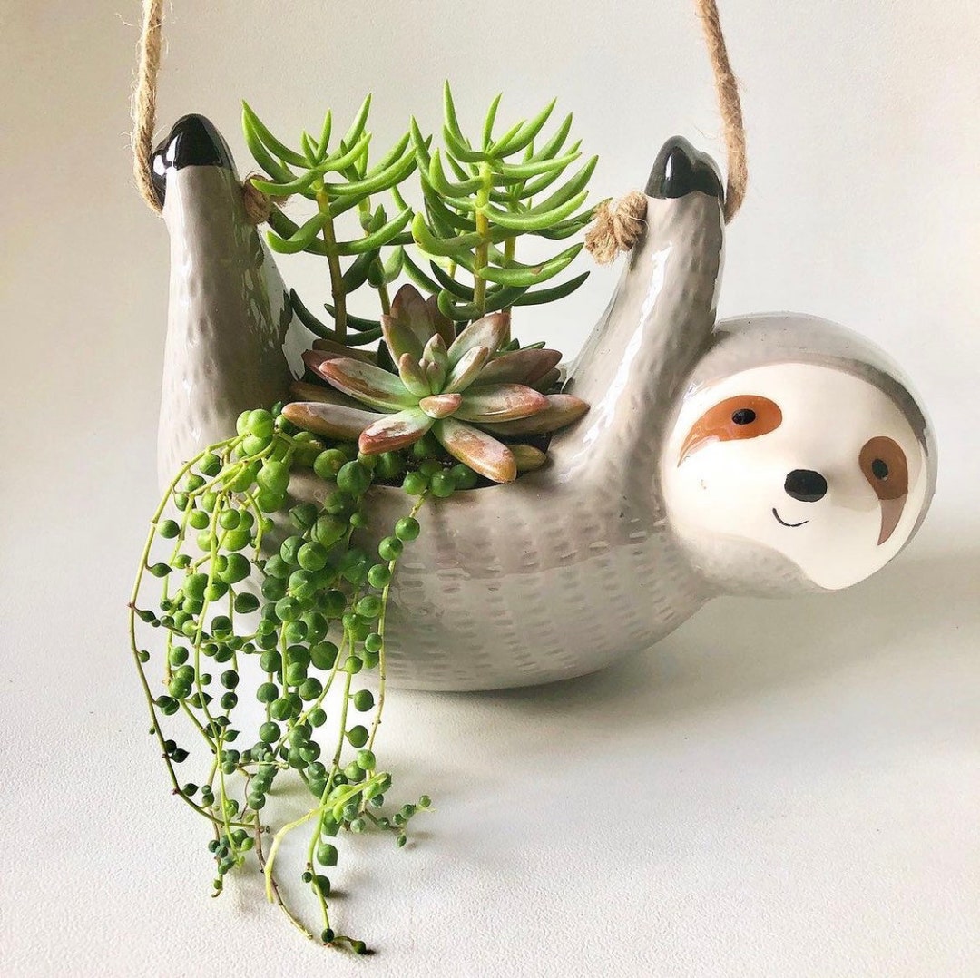 Large Sloth Hanging Planter Pot for Succulents & Plants