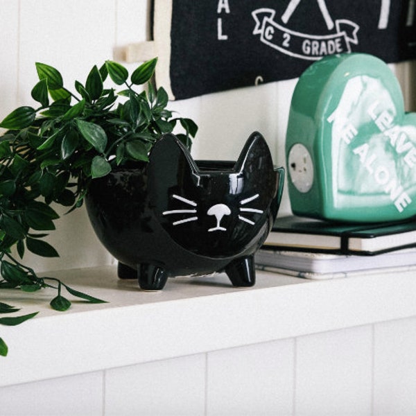 Cat Kitty Face Planter Pot for cactus, succulents or air plants, perfect for cat lover, good luck