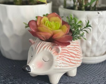 Hedgehog Planter Pot for Succulents & Plants | Animal Planter | Succulent Planter | Cute Planter | Cacti Planter