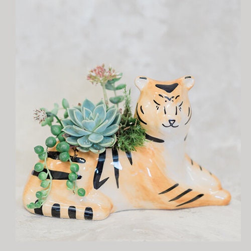 Tiger Planter | Animal Planter | Planter Pot for Air Plans, Succulents & Flowers | Planter Pot | Succulent Planter Pot | Mother's Day Gift