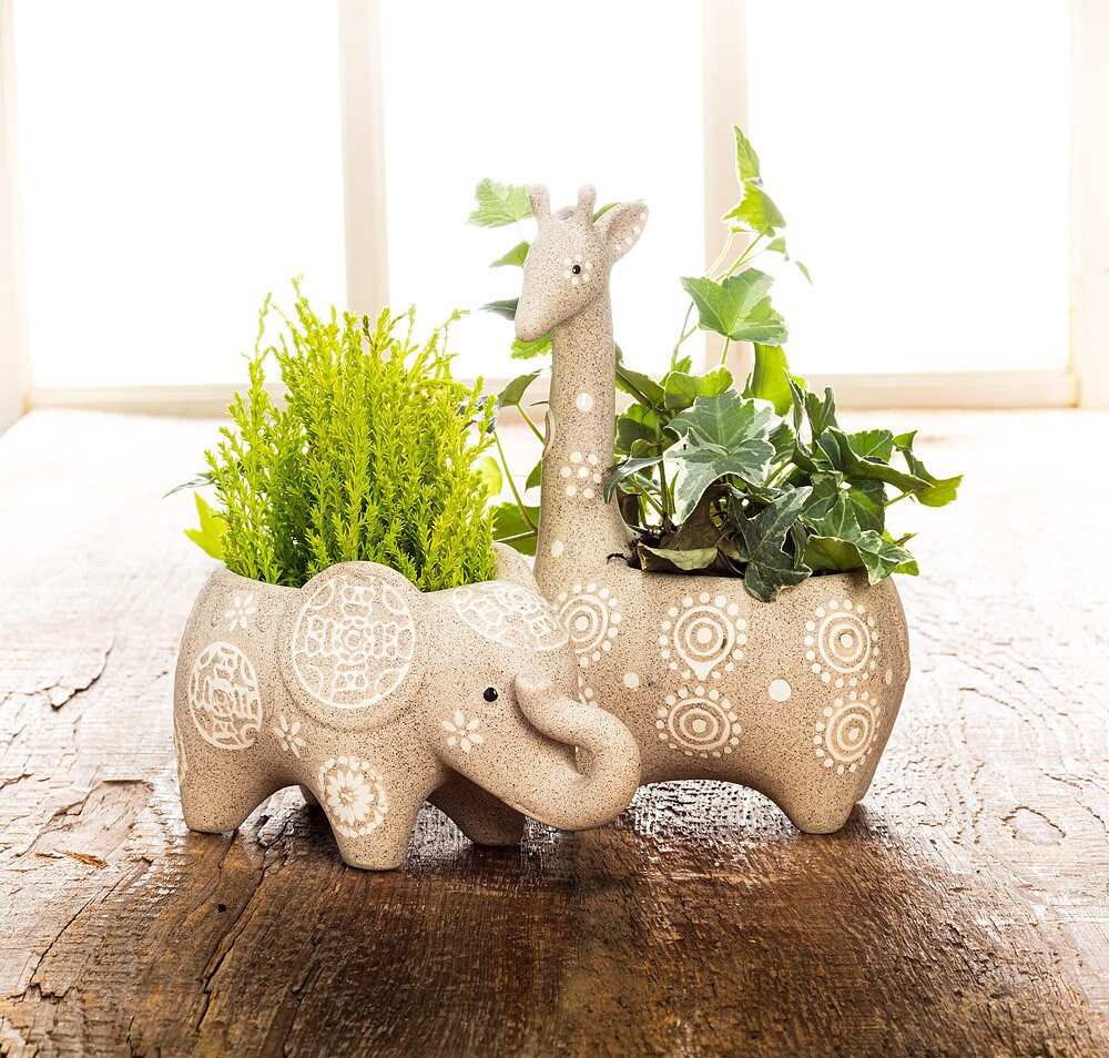 Animal Plant Pot - Etsy Animal Plant Pot - Etsy