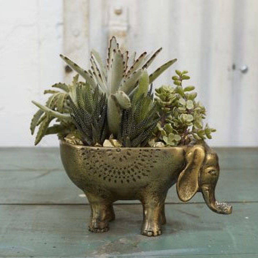 Elephant Planter Pot for Succulents & Plants Animal Planter Etsy