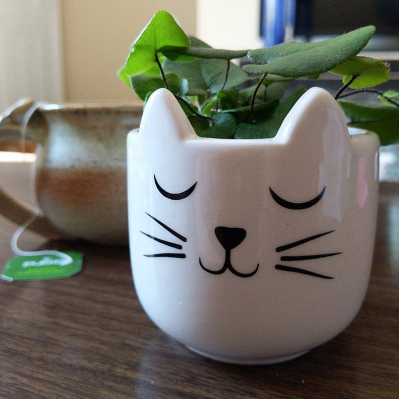 Cat Kitty Face Planter Pot for cactus succulents or air Etsy