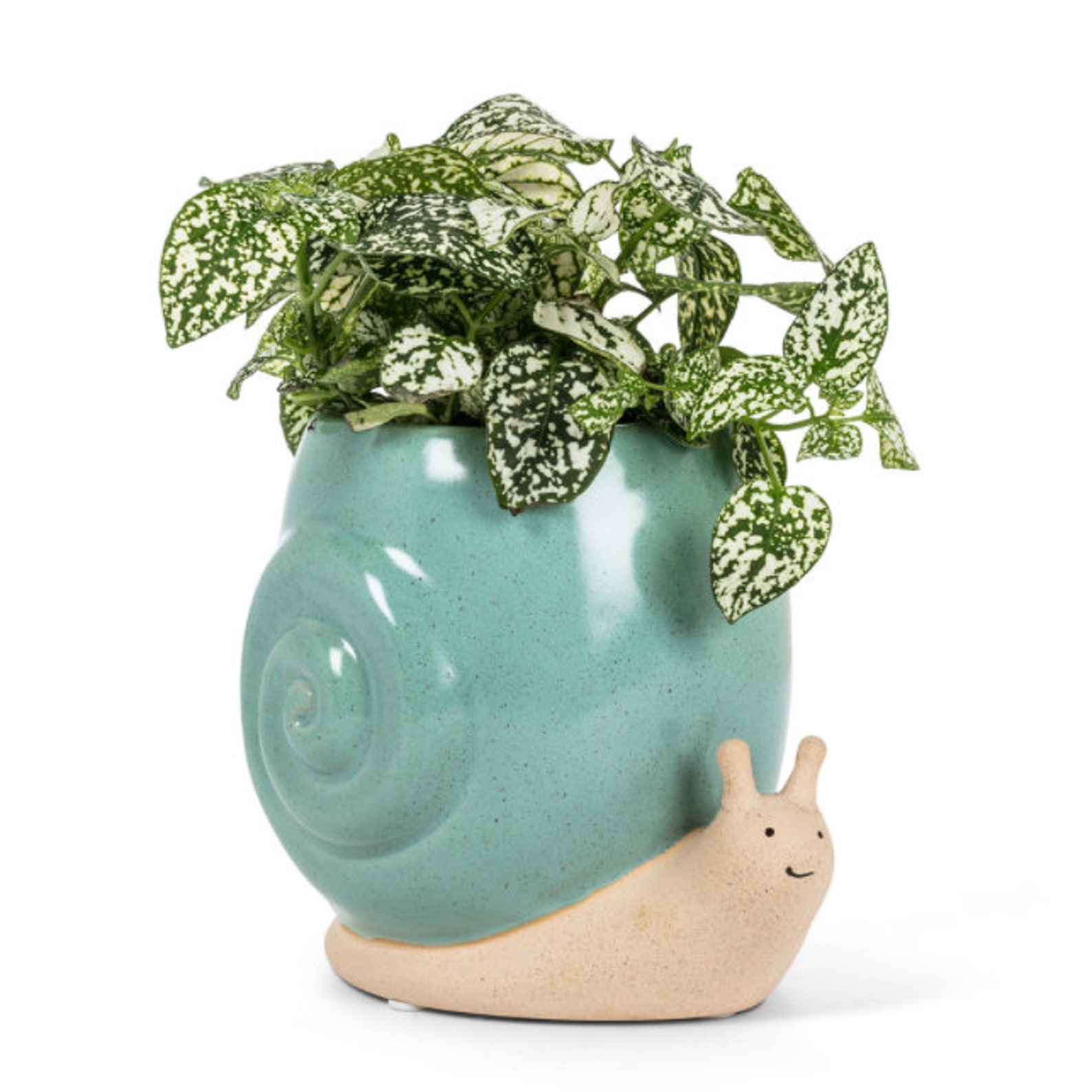 Garden Snail Planter for Succulents and Plants Animal Etsy