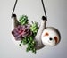 Large Sloth Hanging Planter Pot for Succulents & Plants | Sloth Planter Pot | Animal Succulent Planter |  Cute Pot | Christmas Gift 