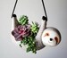 Large Sloth Hanging Planter Pot for Succulents & Plants | Sloth Planter Pot | Animal Succulent Planter | Cute Pot | Christmas Gift