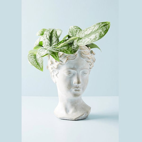 Large Grecian Bust Face Planter Pot for Succulents or Plants | Succulent Planter | Face Pot |  Indoor Planter | Flower Pot | Facepot