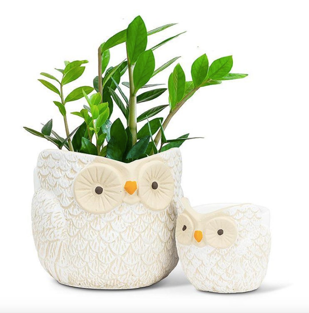 Owl Planter Pot for Succulent & Plants Animal Planter Etsy