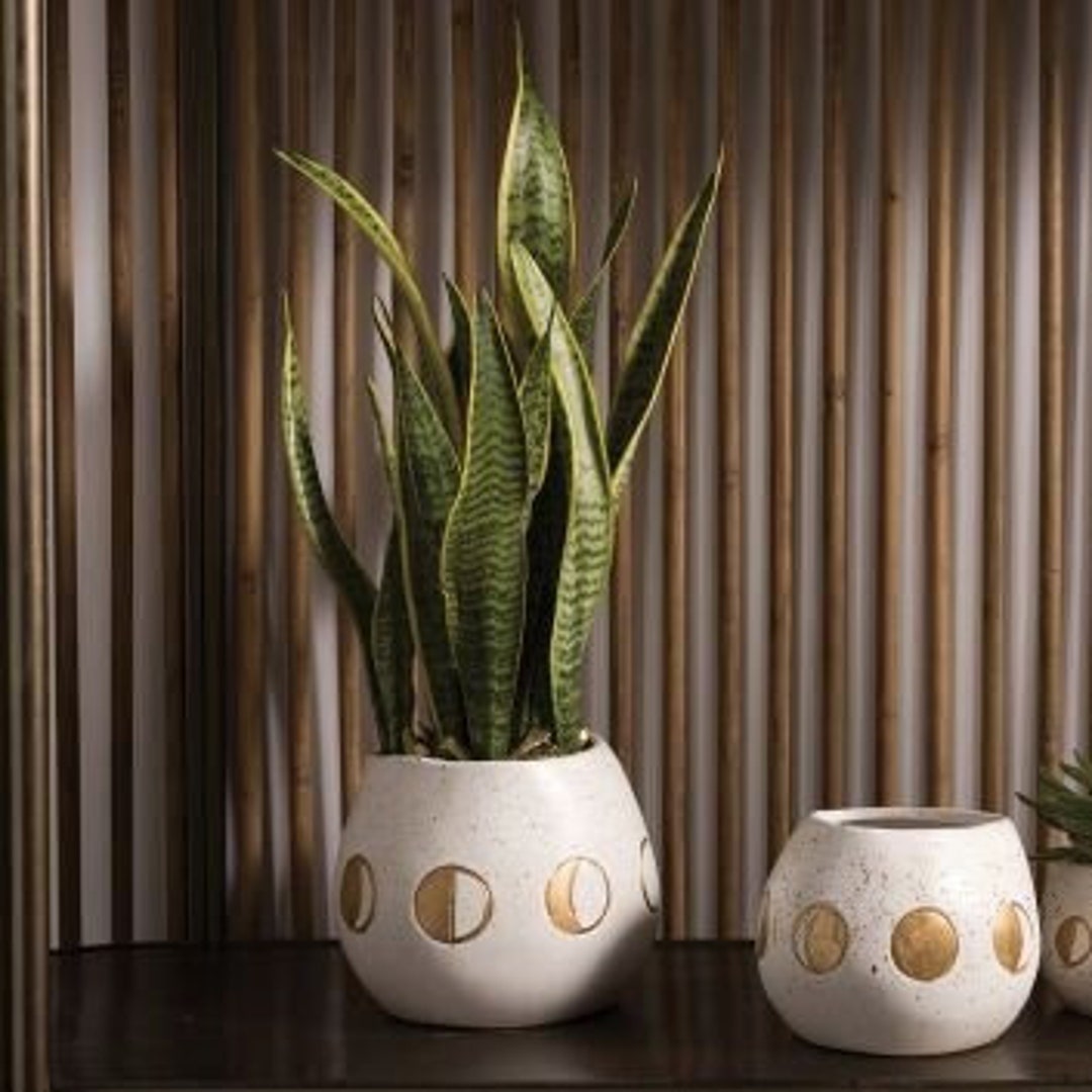 Moon Phases Planter Starts Planter Moon Pot Celestial Etsy