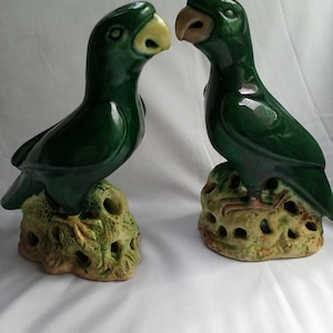 Par antiguo Loros chinos Aves posiblemente período Kangxi Verde