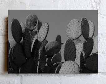 Cactus Photographs | Printable Set of 2 | Black & White Cacti Pictures | Home Decor | Mexican Wall Hanging | Printable Downaload