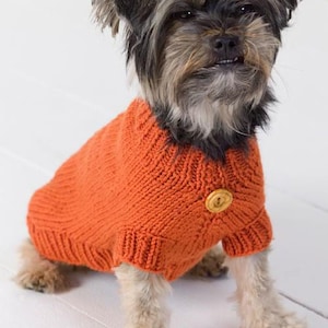 May include: A small dog wearing an orange knitted jumper with a wooden button. The dog has a mix of black, brown, and tan fur. The jumper is a solid colour and appears to be handmade.