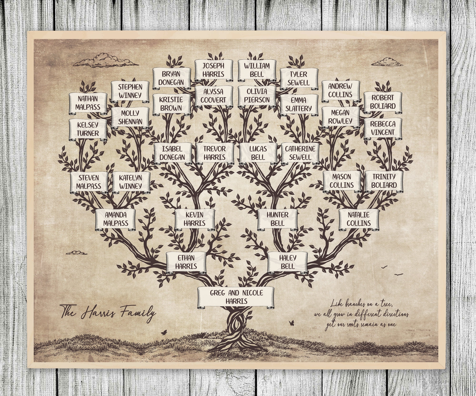 Family Tree Family Tree Genealogy Diy Wall Decor Gambaran family-tree-family-tree-genealogy-diy-wall-decor-gambaran