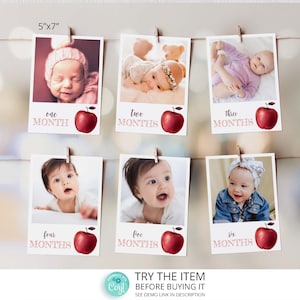 Editable Apple Birthday Banner, Apple Of Our Eye Monthly Photo Banner, First Year Photos, Milestone Photo, Apple Picking Birthday Decor A3