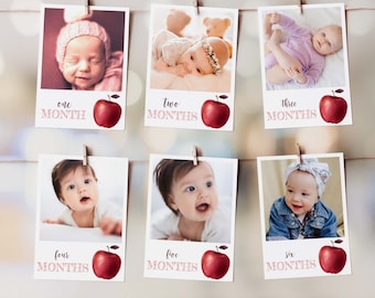 Può includere: Sei carte fotografiche da 5x7 pollici con mele rosse e testo rosa. Ogni carta presenta una foto di un bambino e il testo "un mese", "due mesi", "tre mesi", "quattro mesi", "cinque mesi" e "sei mesi".
