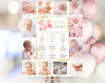 Milestone-bord Little Miss Onederful Eerste verjaardagsversieringen: eerste jaar, mijlpaalbord verjaardag roze bloemen, LM5
