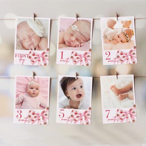 Strawberry Birthday Banner, Berry First Birthday  Monthly Photo Banner, First Year Photos, Milestone Photo, Bow First Birthday Decor SB28