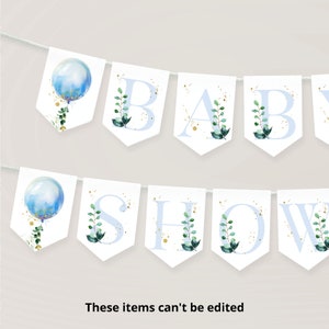 Blue Balloon Baby Shower Bunting Banner, Boho Baby Shower Decor,  Bunting Flag Banner Decoration, Oh Boy Eucalyptus Baby Shower Boy  BB13