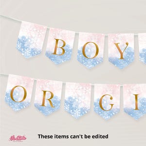 Gender Reveal Winter Banner, Blue Pink Gender Reveal Boy or Girl banner, Gender Reveal Decorations Bunting Banner W419
