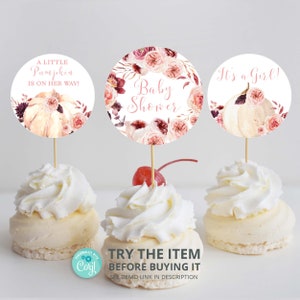 Little Pumpkin Baby Shower Cupcake Toppers | Fall Burgundy Pumpkin Cupcake Toppers | Pumpkin Table Decorations P59