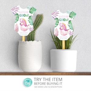 Watch Me Grow Succulent Tag Dinosaur Baby Shower Girl Printable Favor Tags, Dinosaur Baby Pink Plant Tags Template DIY Instant Download DB55
