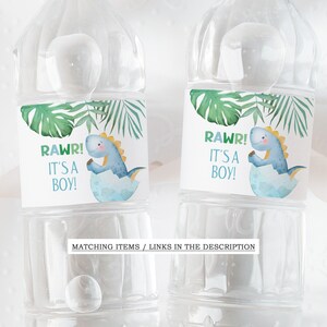 May include: Two clear plastic water bottles with labels that say "RAWR! It's a Boy!"  The labels feature a cartoon dinosaur hatching from an egg with green tropical leaves.