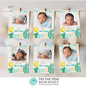Boy First Fiesta Birthday  Banner, Monthly Photo Banner, First Year Photos, 1st Birthday Milestone Photo, Fiesta birthday Decoration F93