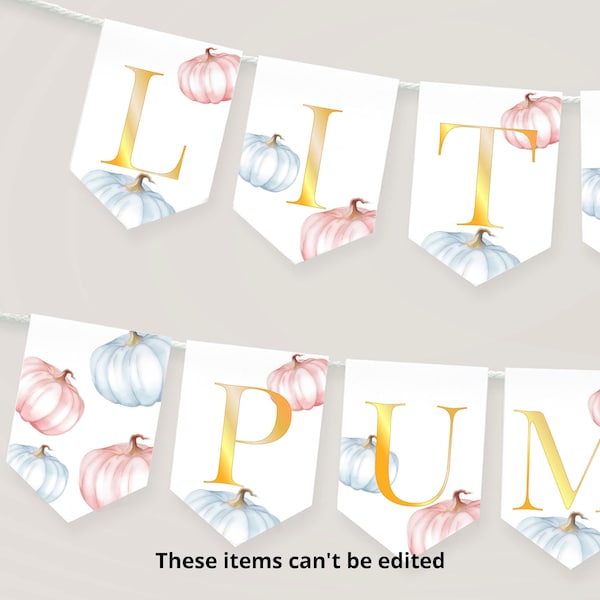 Little Pumpkin Banner Baby Shower Printable Instant Download, Little Pumpkin Garland Bunting Banner, Pumpkin Gender Reveal