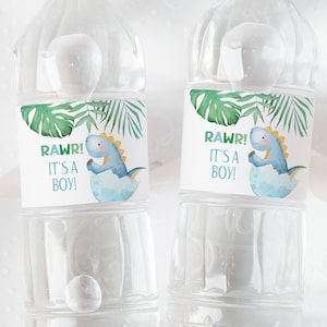 May include: Two clear plastic water bottles with labels featuring a green tropical leaf design. The labels also have a cartoon dinosaur hatching from an egg and the text "RAWR! It's a Boy!"