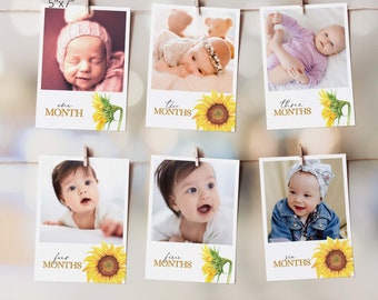 Może przedstawiać: Sześć kartek fotograficznych o wymiarach 13x18 cm z motywem słonecznika. Każda kartka przedstawia dziecko w różnym wieku, z liczbą miesięcy napisaną na kartce. Kartki idealnie nadają się do albumu fotograficznego z pierwszego roku życia dziecka.
