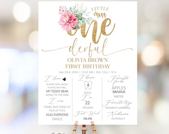 Little Miss ONEderful verjaardag, mijlpaalbord eerste verjaardag, Onederful meisje verjaardag, eerste verjaardag meisje decor, mijlpaalbord FB33