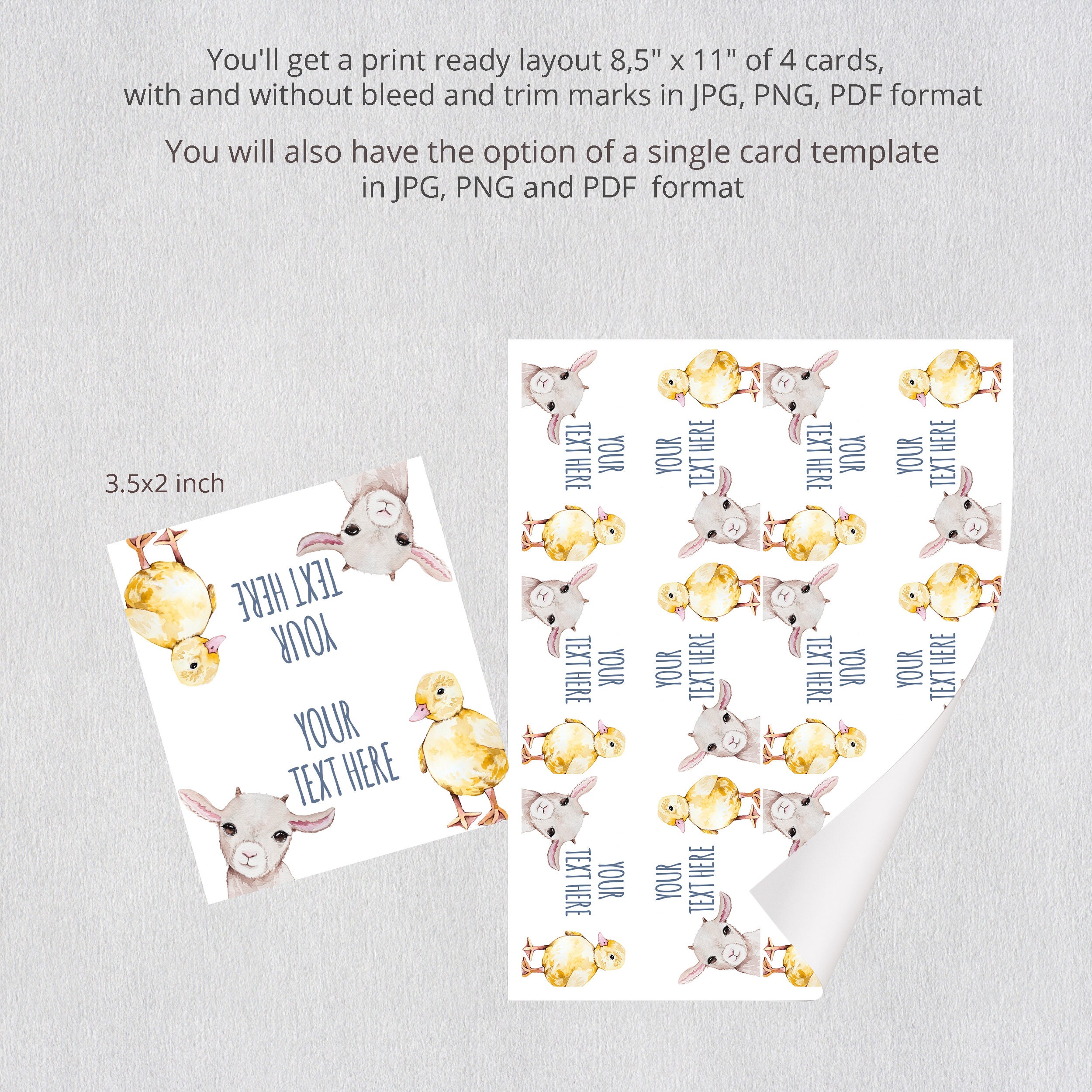 Editable Food Labels Farm Birthday Place Card Farmhouse Farm - Etsy