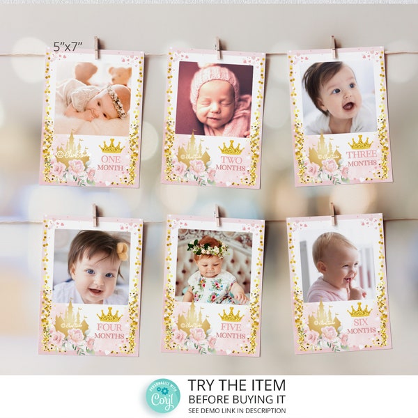 Little Princess Birthday, Monthly Photo Banner, Milestone Banner First Birthday, Girl 1st Birthday Theme, Milestone Photo Banner PR67